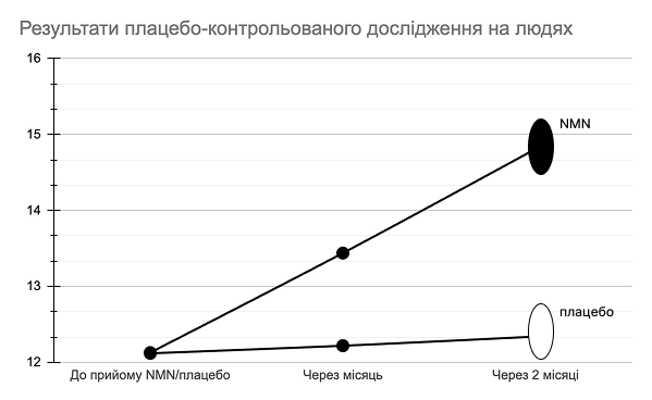 Результати плацебо контрольованого дослідження на людях nmn