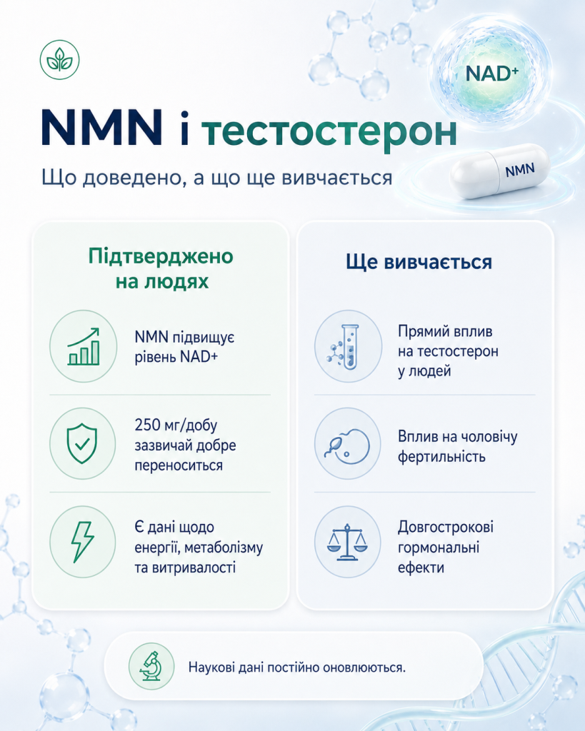 NMN і тестостерон