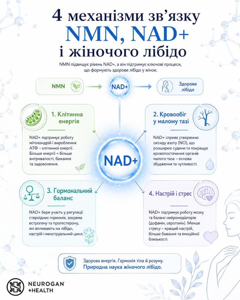 Як NAD+ пов'язаний із жіночим лібідо